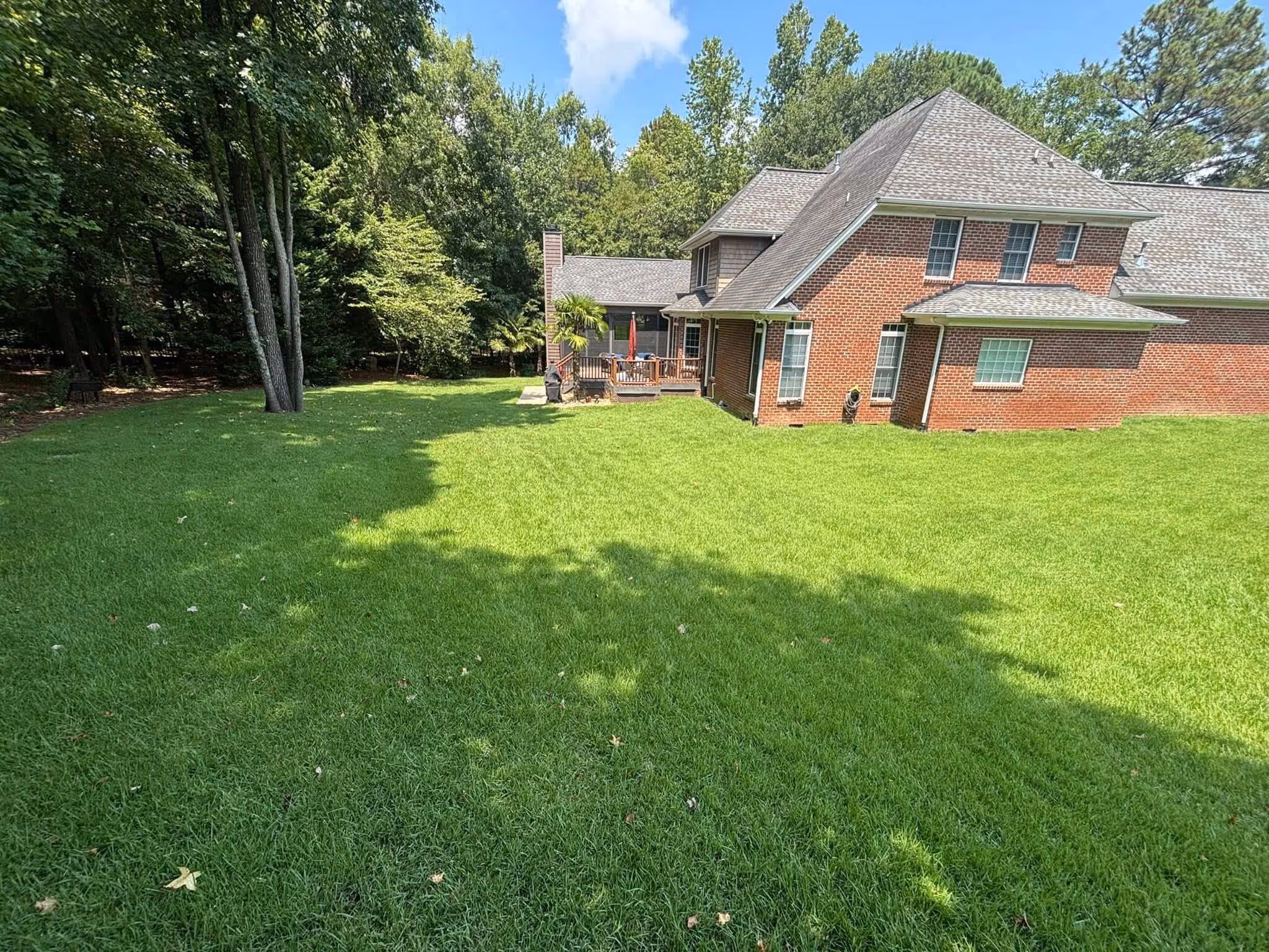 Large backyard with bright green grass, a brick house on the right, and dense trees on the left under a blue sky with a few clouds.