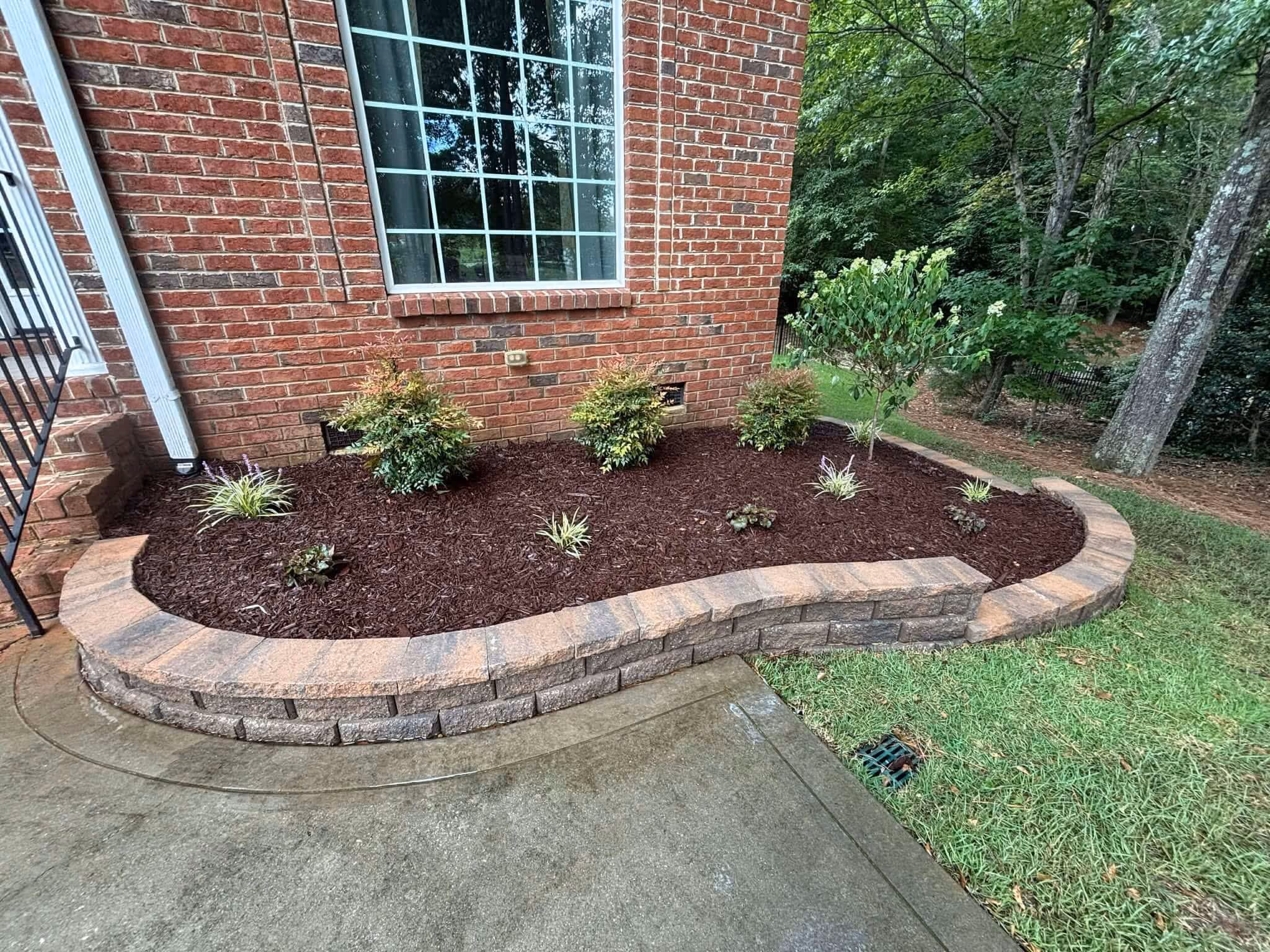 Curved raised garden bed with mulch and small shrubs in front of a red brick house with a large window.