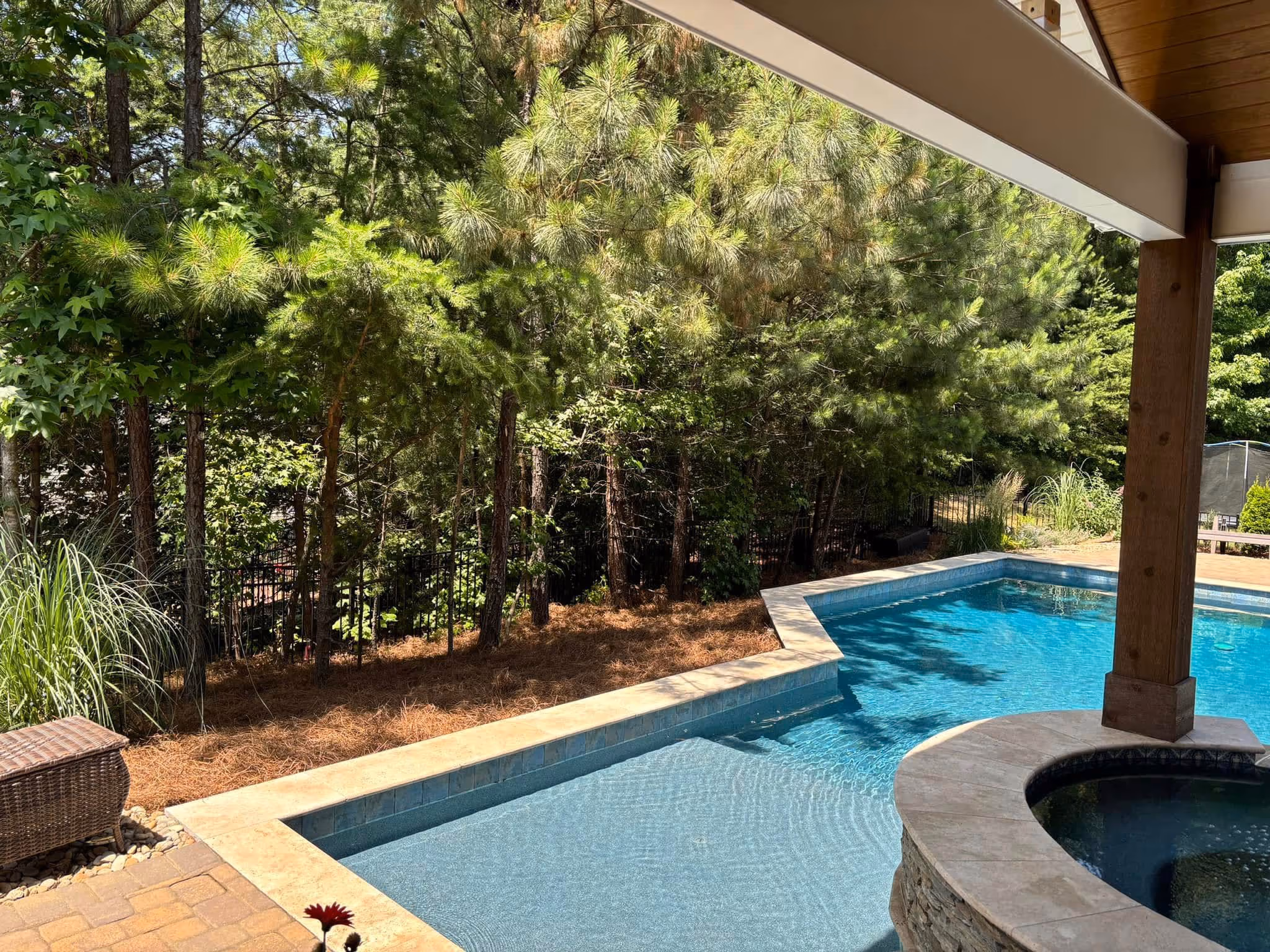 Sunny backyard with a swimming pool, spa, and surrounding green trees under a covered patio.