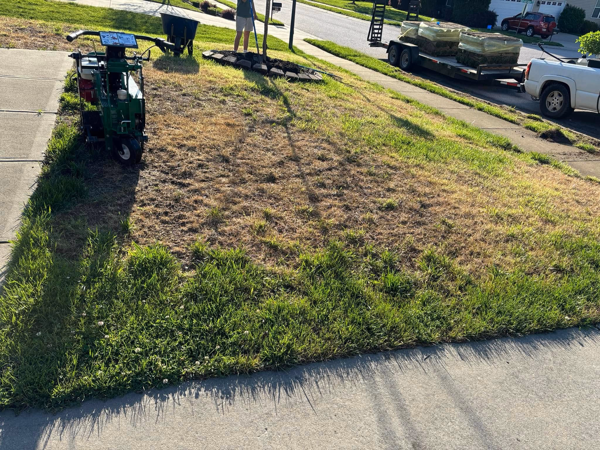 Bare graded back yard levelled and ready for new grass.